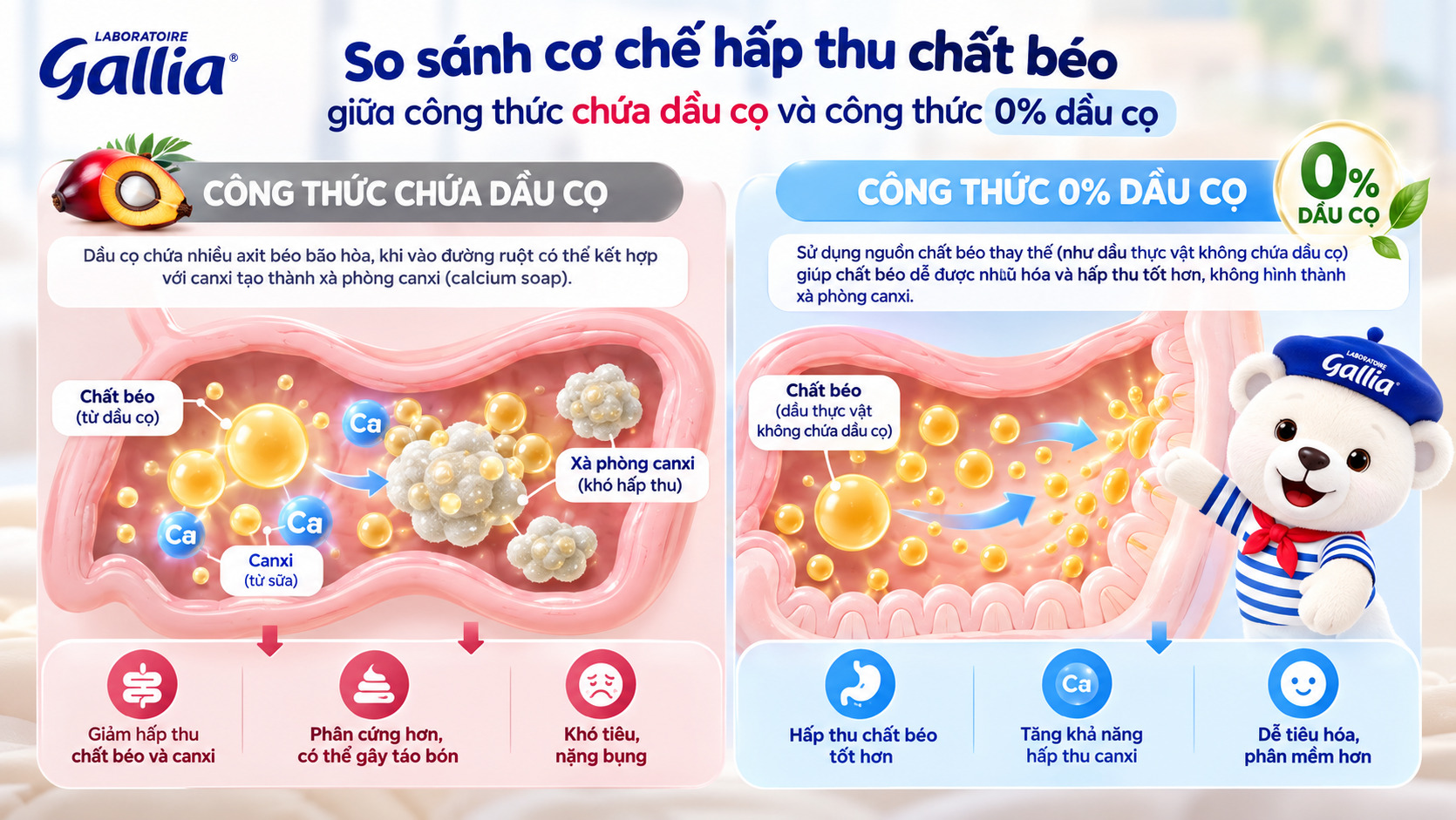 tac-hai-cua-dau-co-trong-sua-cong-thuc