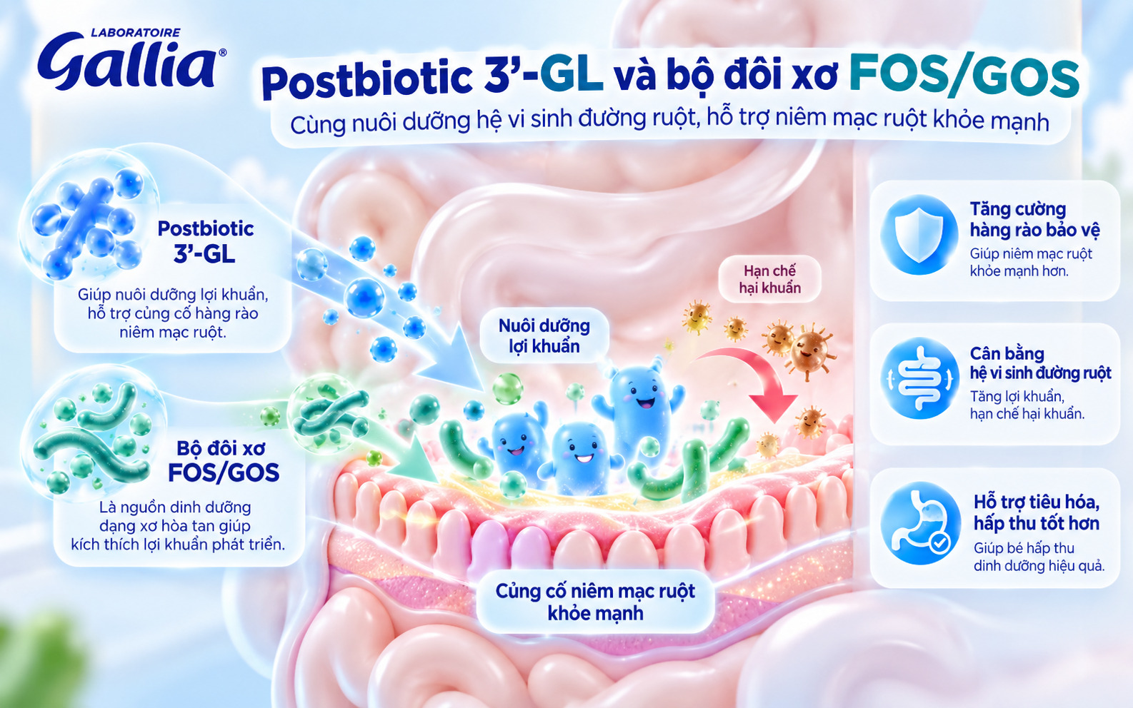 Sữa Gallia ứng dụng công nghệ Lactofidus giúp hỗ trợ hệ tiêu hóa của bé
